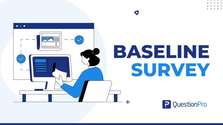Baseline Survey