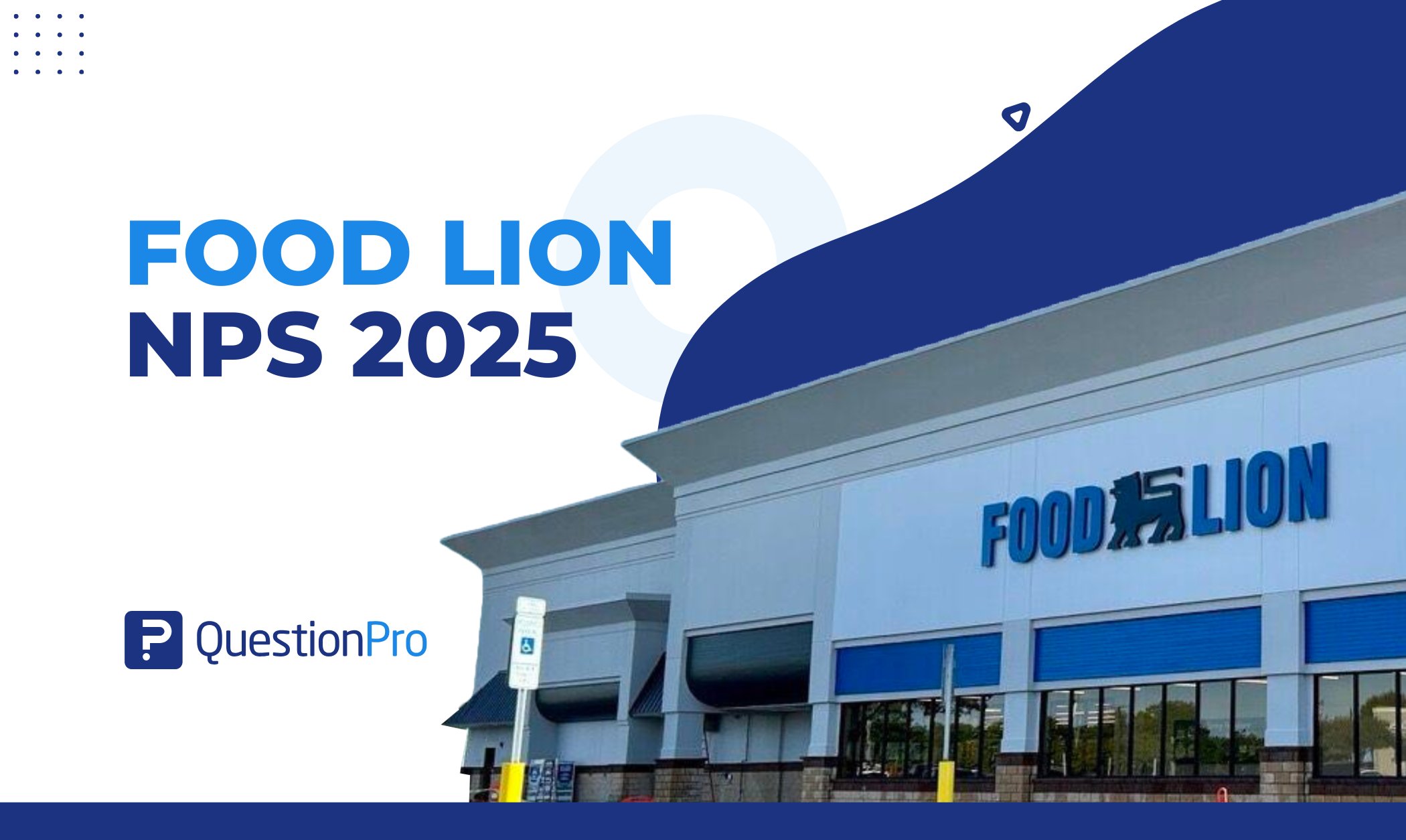food-lion-nps-2025