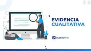Evidencia cualitativa