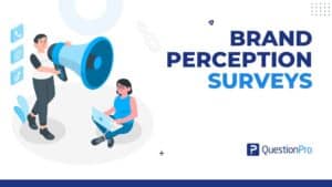 Brand perception surveys show what customers think and why it matters. Learn how to use it to help you understand and improve your brand image.