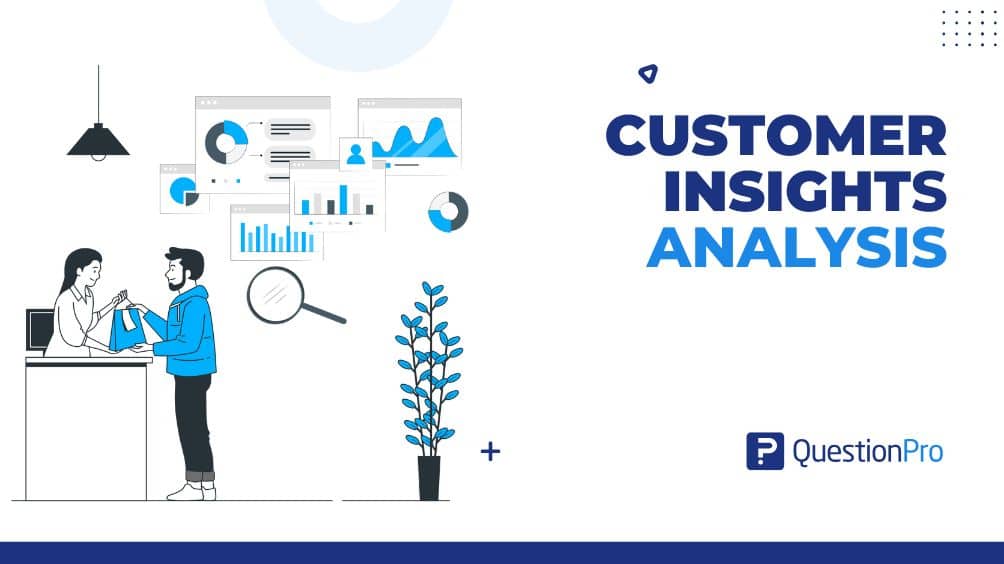 Customer Insights Analysis: How to Turn Insight into Action