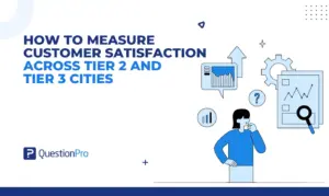 customer-satisfaction-in-tier-2-and-tier-3-cities-india