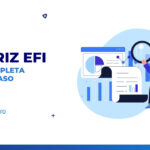 Matriz EFI