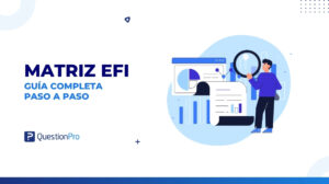 Matriz EFI