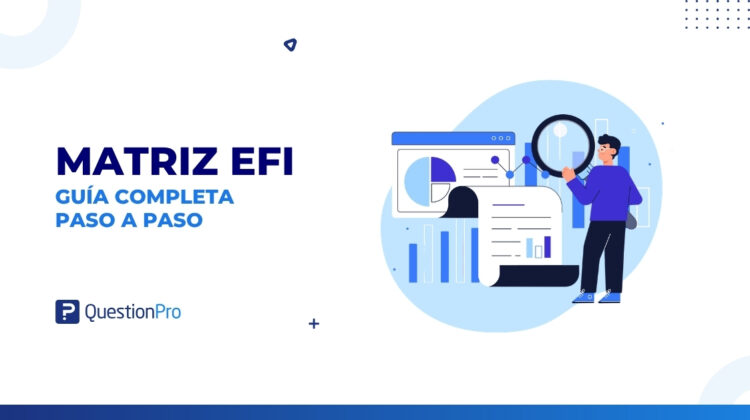 Matriz EFI