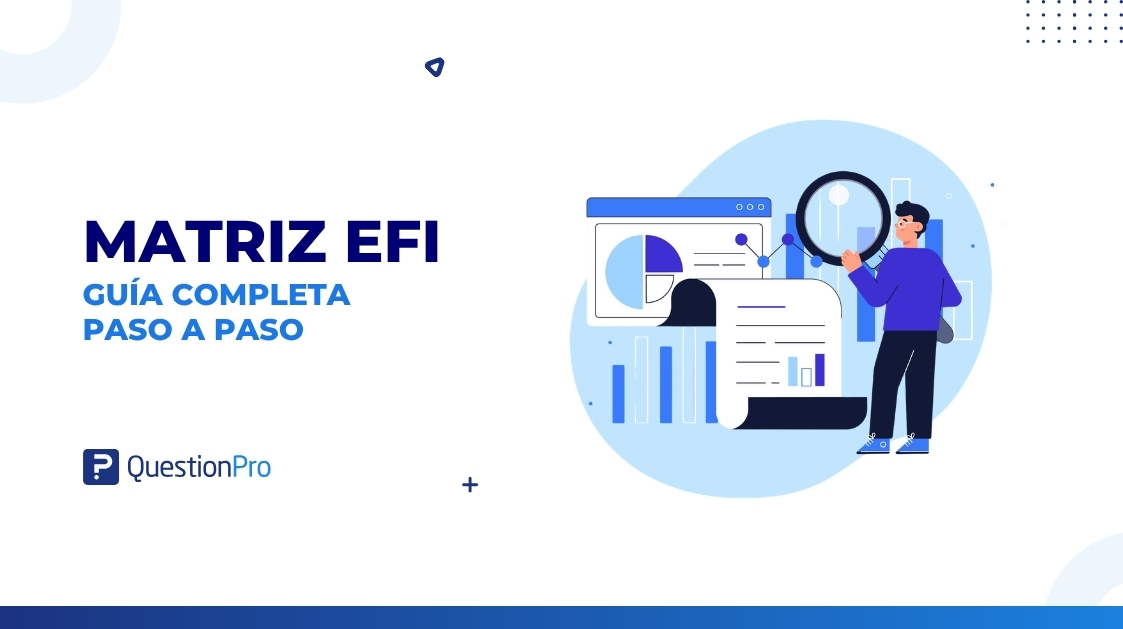 Matriz EFI