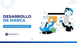desarrollo de marca