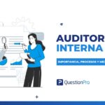 auditoria interna
