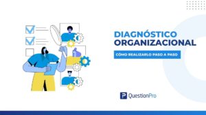 diagnóstico organizacional