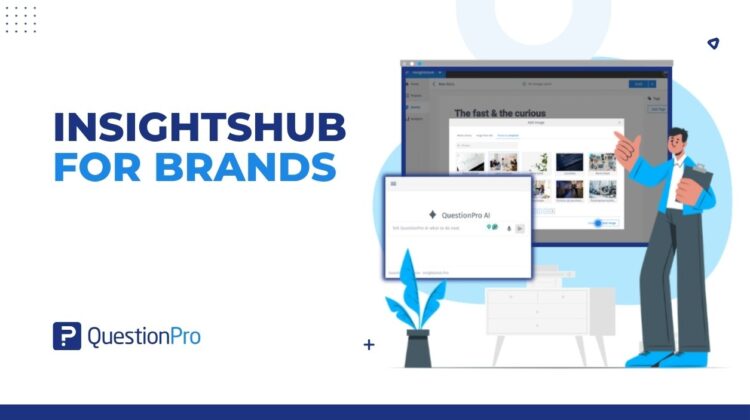 insighthub-for-brands
