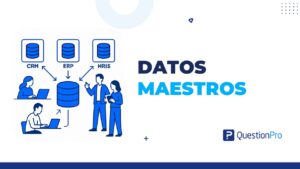 datos maestros