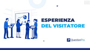 esperienza del visitatore