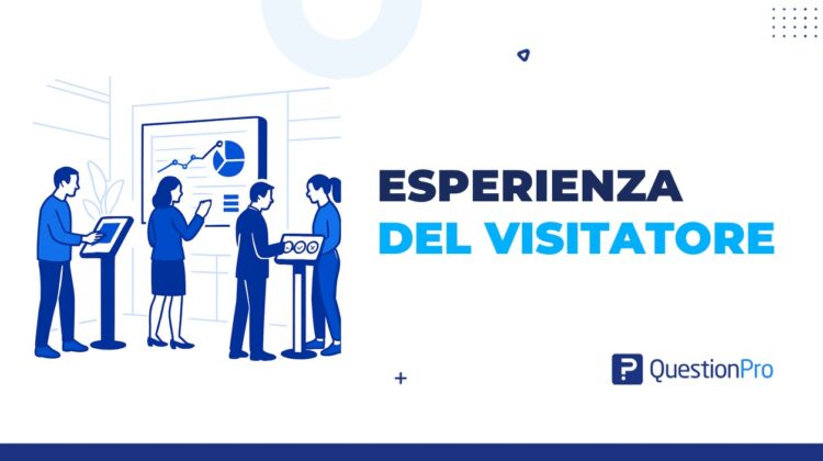 esperienza del visitatore