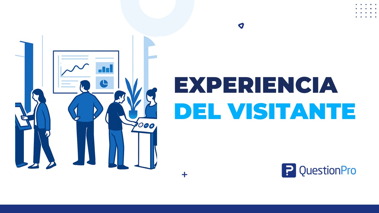 experiencia del visitante