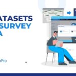 bi-datasets-for-survey-data