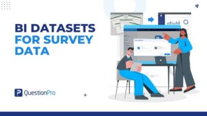 bi-datasets-for-survey-data