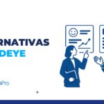 alternativas a Birdeye