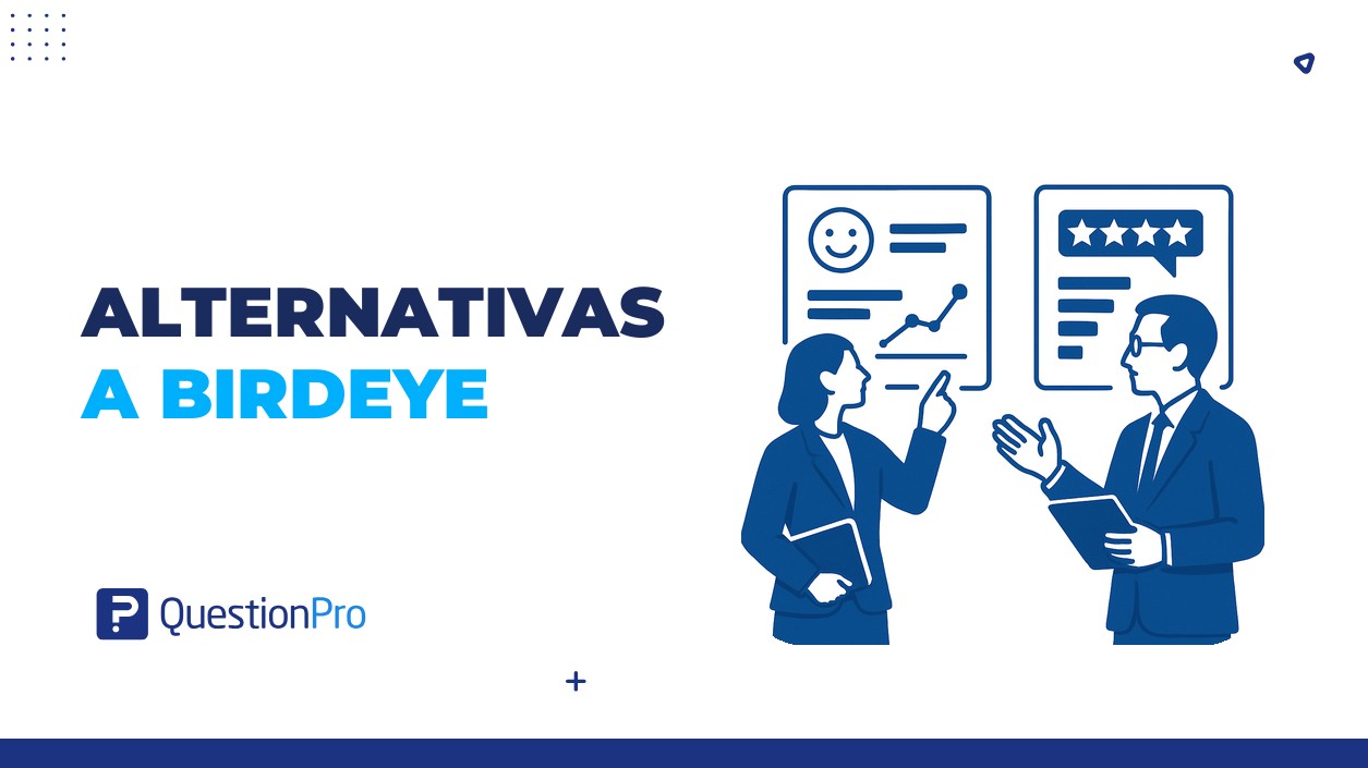 alternativas a Birdeye