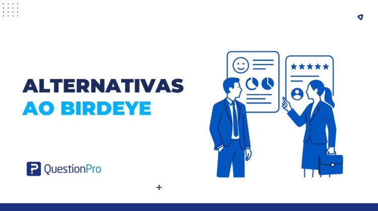 alternativas ao Birdeye