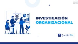 investigación organizacional