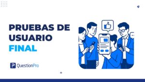 pruebas de usuario final
