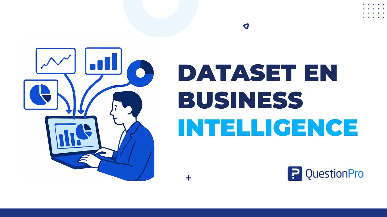 dataset en Business Intelligence