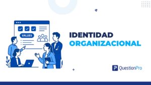 identidad organizacional