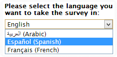 Multilingual Survey