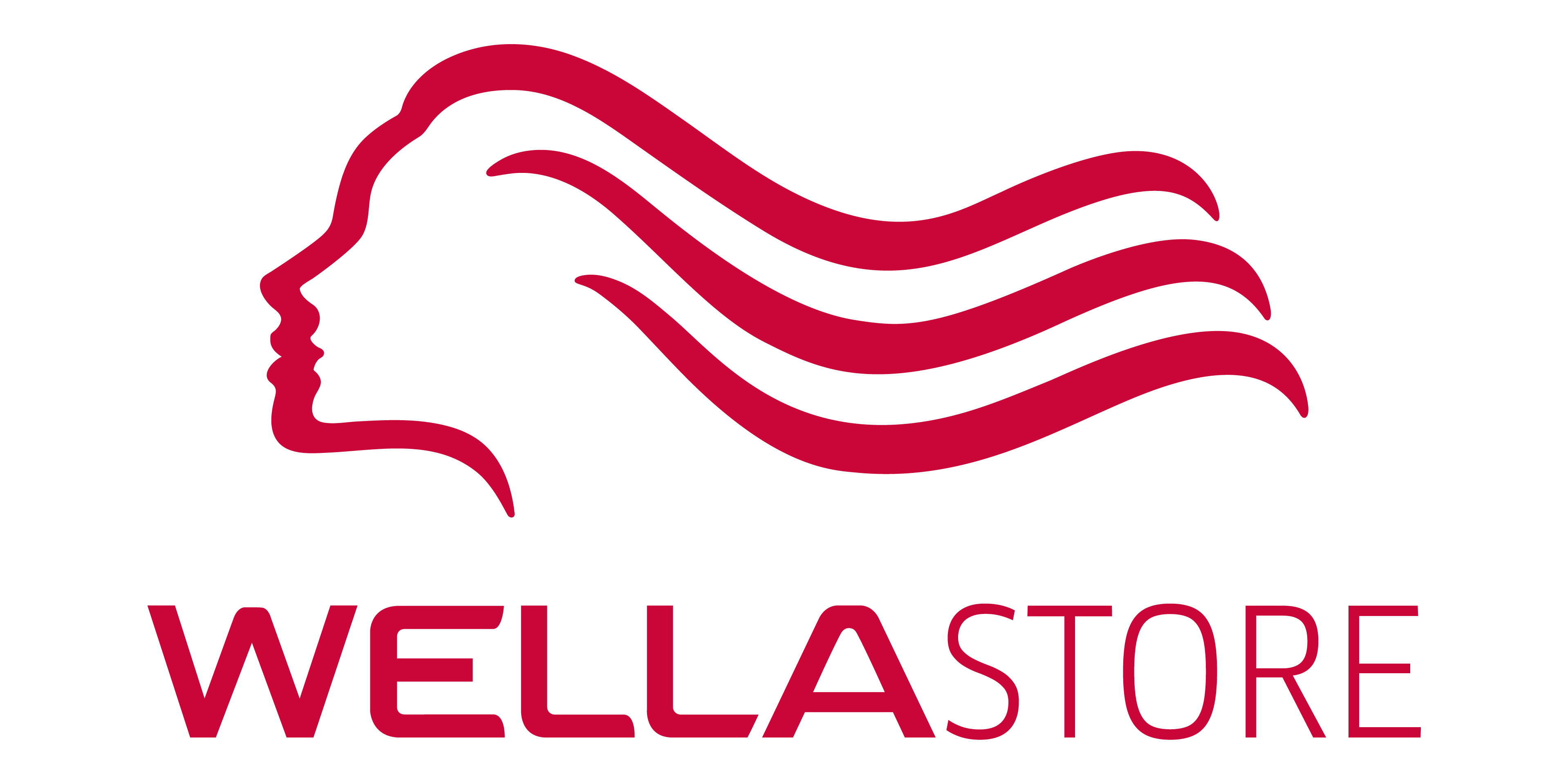 wellastore_logo