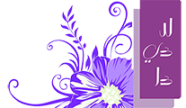logo-ladida-small