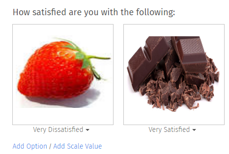 Image Rating Multiple Choice Question