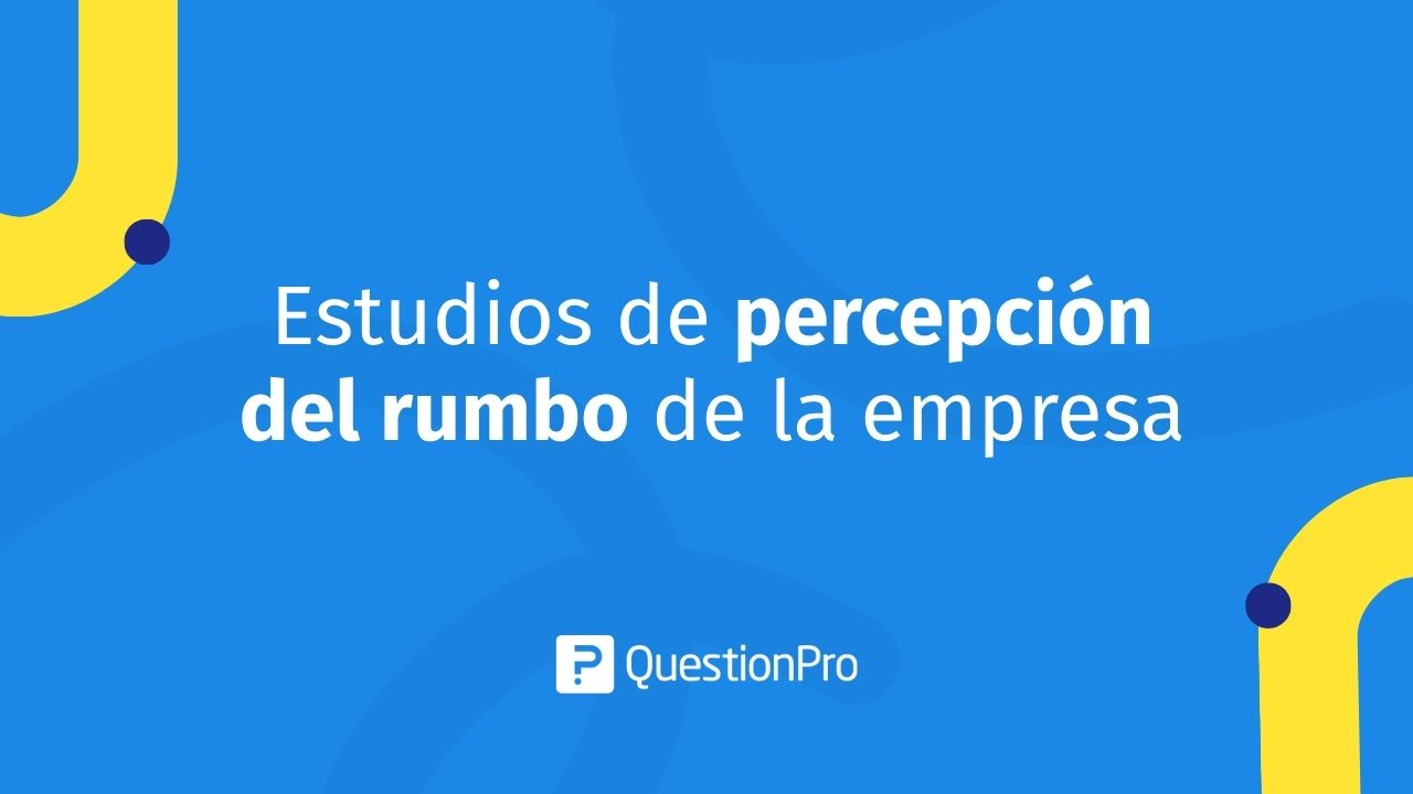 Estudios de percepción del rumbo de la empresa