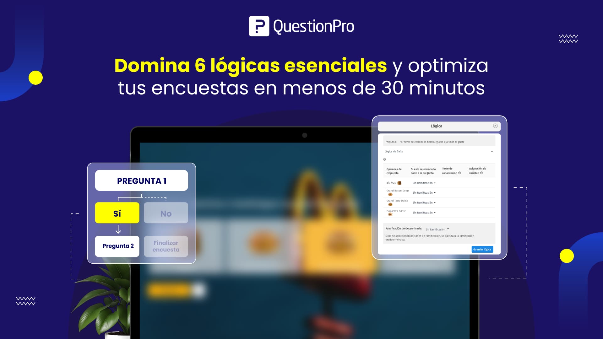 Qué son las lógicas en encuestas