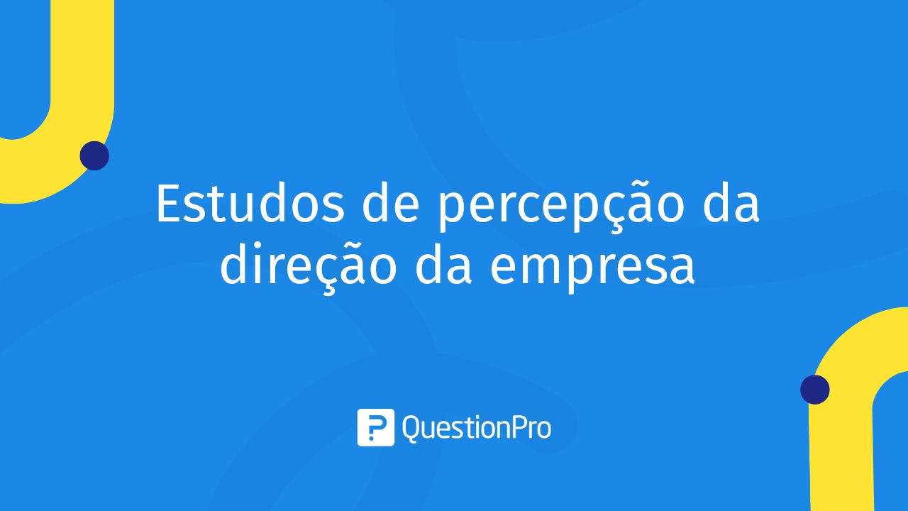 Estudos de percepção da direção da empresa