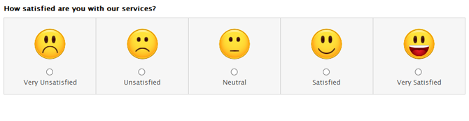 Survey Software Help Image