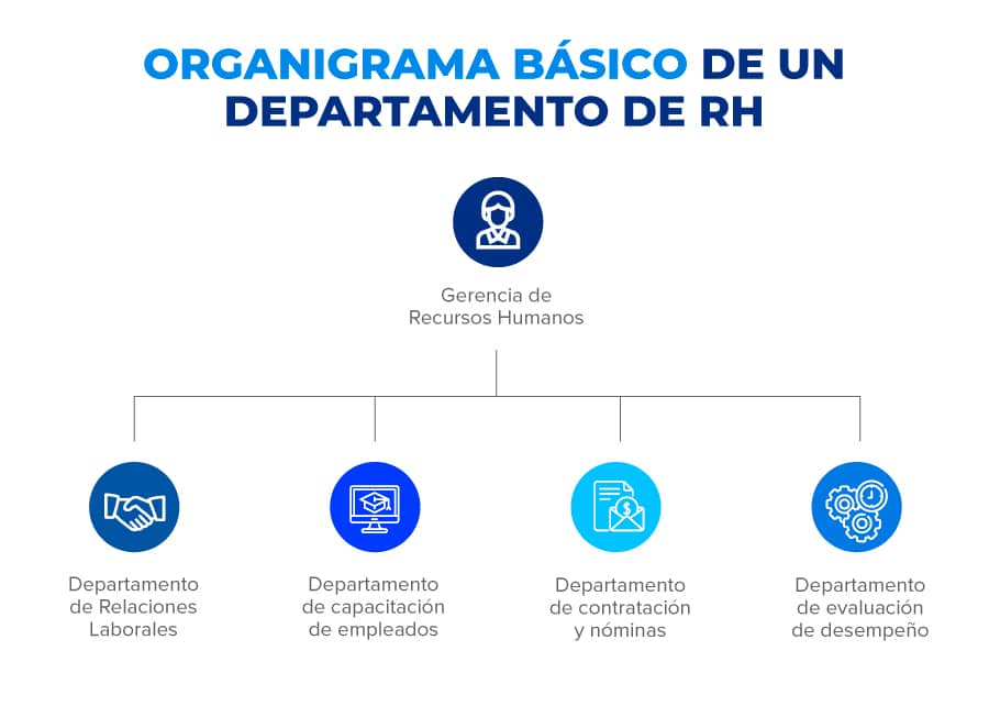 organigrama recursos humanos