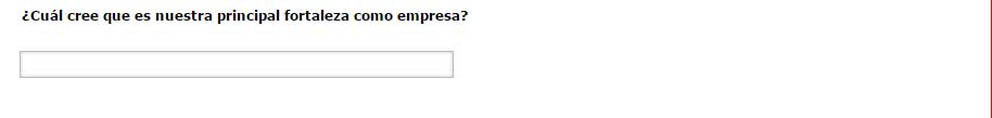 pregunta abierta texto en una sola línea