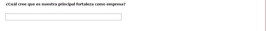 pregunta abierta texto en una sola línea